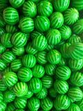 Pastèque Gum(100g)