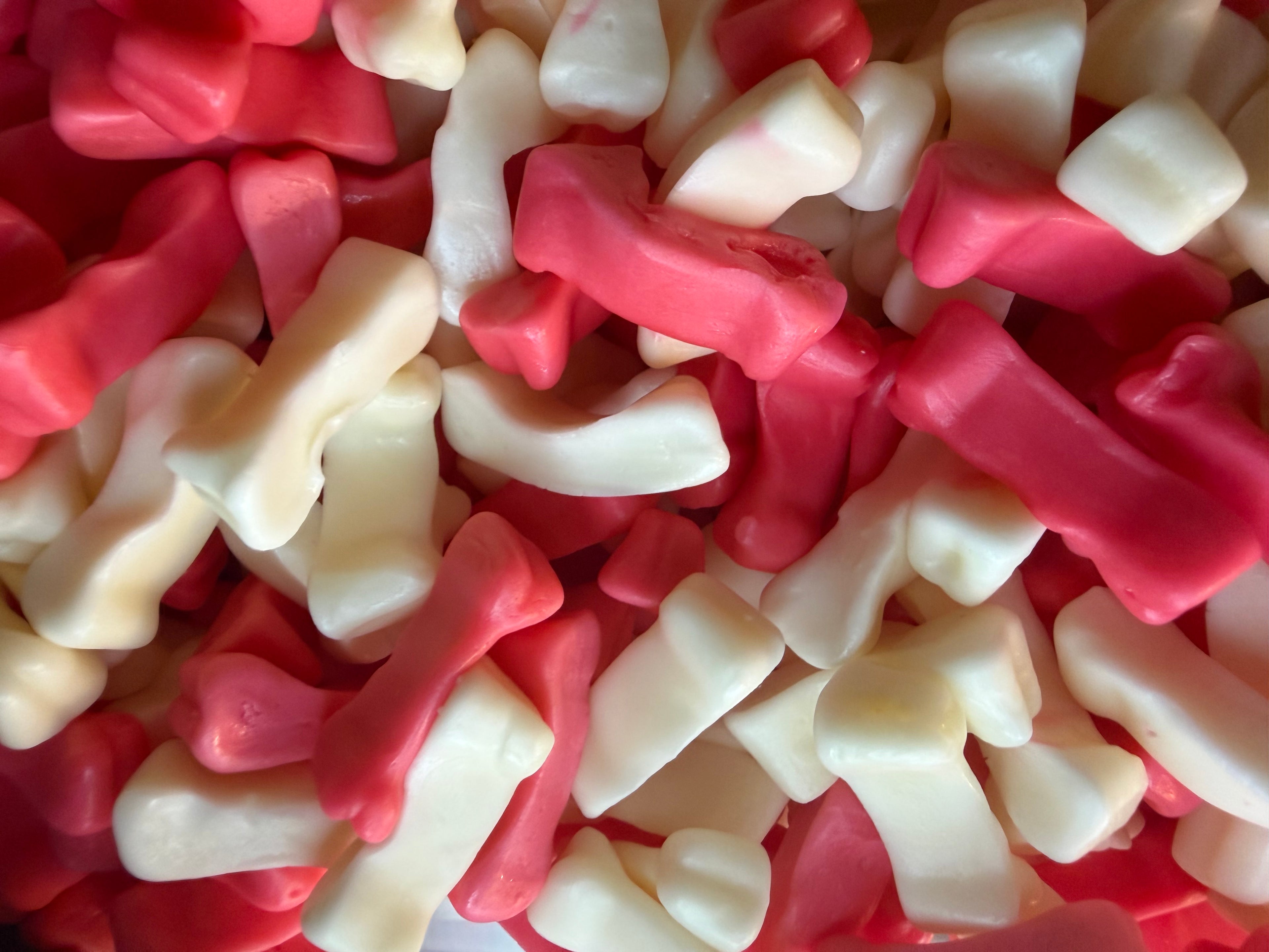 Bones (100g)